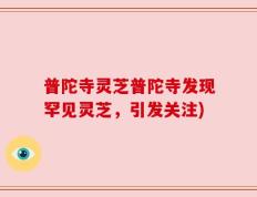 普陀寺灵芝普陀寺发现罕见灵芝，引发关注)