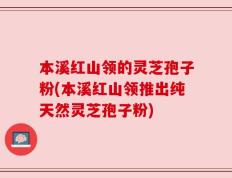 本溪红山领的灵芝孢子粉(本溪红山领推出纯天然灵芝孢子粉)
