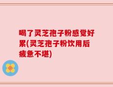 喝了灵芝孢子粉感觉好累(灵芝孢子粉饮用后疲惫不堪)