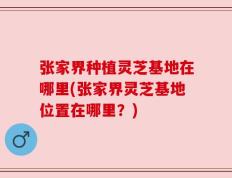 张家界种植灵芝基地在哪里(张家界灵芝基地位置在哪里？)