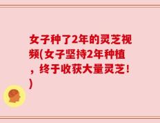 女子种了2年的灵芝视频(女子坚持2年种植，终于收获大量灵芝！)