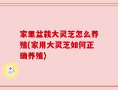 家里盆栽大灵芝怎么养殖(家用大灵芝如何正确养殖)