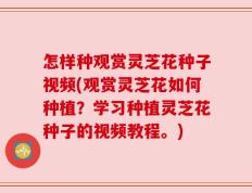 怎样种观赏灵芝花种子视频(观赏灵芝花如何种植？学习种植灵芝花种子的视频教程。)
