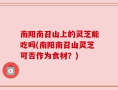 南阳南召山上的灵芝能吃吗(南阳南召山灵芝可否作为食材？)