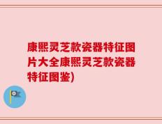 康熙灵芝款瓷器特征图片大全康熙灵芝款瓷器特征图鉴)