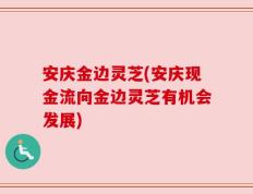 安庆金边灵芝(安庆现金流向金边灵芝有机会发展)