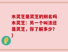 木灵芝是灵芝的别名吗木灵芝：另一个叫法还是灵芝，你了解多少？)