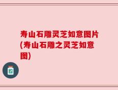 寿山石雕灵芝如意图片(寿山石雕之灵芝如意图)