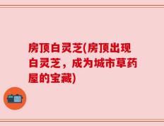房顶白灵芝(房顶出现白灵芝，成为城市草药屋的宝藏)