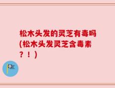 松木头发的灵芝有毒吗(松木头发灵芝含毒素？！)