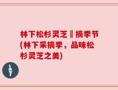 林下松杉灵芝釆摘季节(林下采摘季，品味松杉灵芝之美)