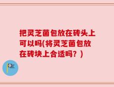 把灵芝菌包放在砖头上可以吗(将灵芝菌包放在砖块上合适吗？)