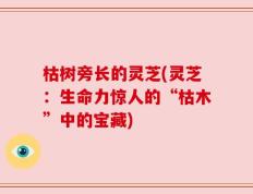枯树旁长的灵芝(灵芝：生命力惊人的“枯木”中的宝藏)