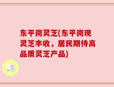 东平岗灵芝(东平岗现灵芝丰收，居民期待高品质灵芝产品)