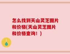 怎么找到天山灵芝图片和价格(天山灵芝图片和价格查询！)