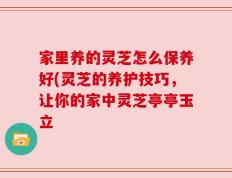 家里养的灵芝怎么保养好(灵芝的养护技巧，让你的家中灵芝亭亭玉立