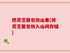 把灵芝菌包放山里(将灵芝菌包放入山间存储)