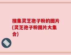 搜集灵芝孢子粉的图片(灵芝孢子粉图片大集合)