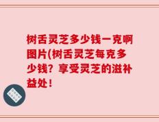 树舌灵芝多少钱一克啊图片(树舌灵芝每克多少钱？享受灵芝的滋补益处！