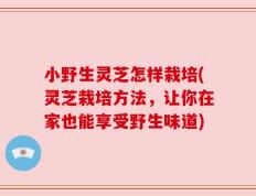 小野生灵芝怎样栽培(灵芝栽培方法，让你在家也能享受野生味道)