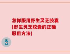 怎样服用野生灵芝胶囊(野生灵芝胶囊的正确服用方法)