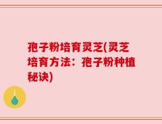 孢子粉培育灵芝(灵芝培育方法：孢子粉种植秘诀)