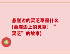悬崖边的灵芝草是什么(悬崖边上的灵草：“灵芝”的故事)