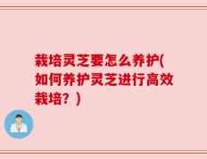 栽培灵芝要怎么养护(如何养护灵芝进行高效栽培？)