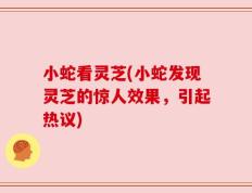 小蛇看灵芝(小蛇发现灵芝的惊人效果，引起热议)