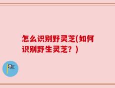 怎么识别野灵芝(如何识别野生灵芝？)
