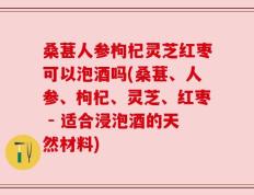 桑葚人参枸杞灵芝红枣可以泡酒吗(桑葚、人参、枸杞、灵芝、红枣 - 适合浸泡酒的天然材料)