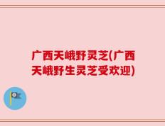 广西天峨野灵芝(广西天峨野生灵芝受欢迎)