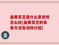 桑黄灵芝是什么意思呀怎么吃(桑黄灵芝的食用方法及功效介绍)