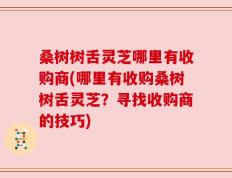 桑树树舌灵芝哪里有收购商(哪里有收购桑树树舌灵芝？寻找收购商的技巧)