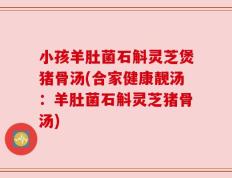 小孩羊肚菌石斛灵芝煲猪骨汤(合家健康靓汤：羊肚菌石斛灵芝猪骨汤)