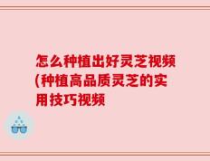 怎么种植出好灵芝视频(种植高品质灵芝的实用技巧视频