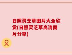日照灵芝草图片大全欣赏(日照灵芝草高清图片分享)