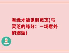 有缘才能见到灵芝(与灵芝的缘分：一场意外的邂逅)