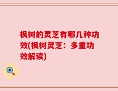 枫树的灵芝有哪几种功效(枫树灵芝：多重功效解读)