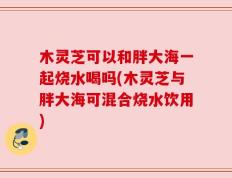 木灵芝可以和胖大海一起烧水喝吗(木灵芝与胖大海可混合烧水饮用)