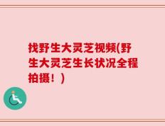 找野生大灵芝视频(野生大灵芝生长状况全程拍摄！)