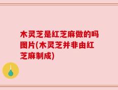 木灵芝是红芝麻做的吗图片(木灵芝并非由红芝麻制成)
