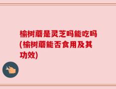 榆树蘑是灵芝吗能吃吗(榆树蘑能否食用及其功效)
