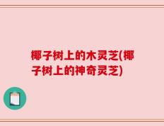 椰子树上的木灵芝(椰子树上的神奇灵芝)