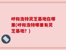 呼和浩特灵芝基地在哪里(呼和浩特哪里有灵芝基地？)