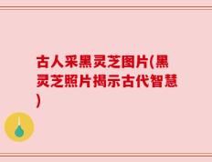 古人采黑灵芝图片(黑灵芝照片揭示古代智慧)