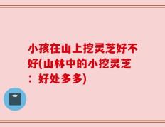 小孩在山上挖灵芝好不好(山林中的小挖灵芝：好处多多)