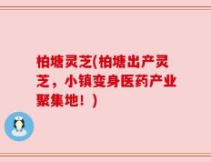柏塘灵芝(柏塘出产灵芝，小镇变身医药产业聚集地！)
