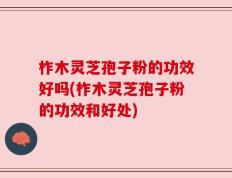 柞木灵芝孢子粉的功效好吗(柞木灵芝孢子粉的功效和好处)