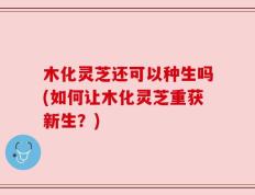木化灵芝还可以种生吗(如何让木化灵芝重获新生？)